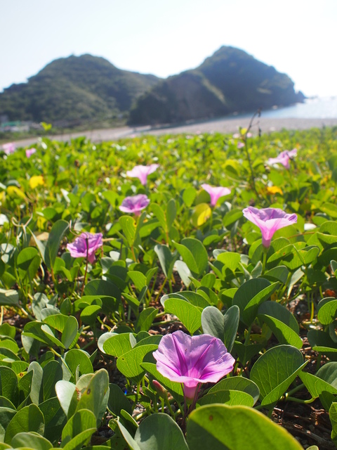 02-6.jpg - 10407 第六露 南澳那山那谷