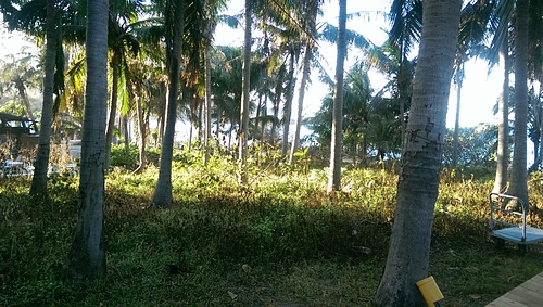 imag8699_19958010053_o.jpg - 10408 第七露 墾丁快樂白紗
