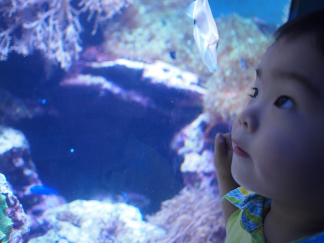 P8164183.JPG - 10408 第七露 墾丁快樂白紗