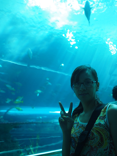 P8164145.JPG - 10408 第七露 墾丁快樂白紗