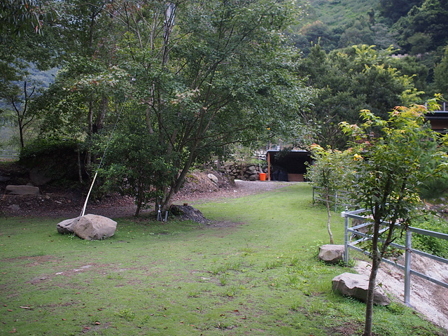 P1014472.JPG - 1040906第八露 拉拉山樂野(山蘇的故鄉)