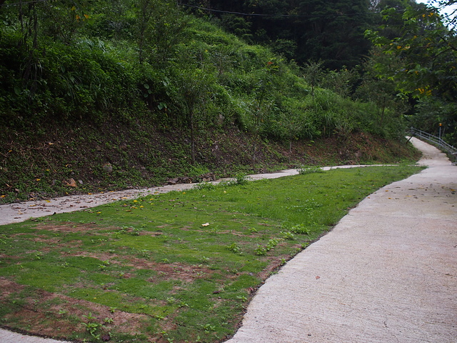P1014456.JPG - 1040906第八露 拉拉山樂野(山蘇的故鄉)