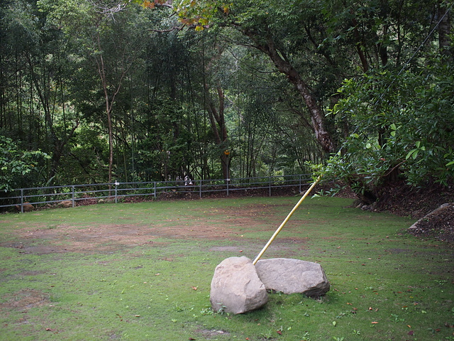 P1014470.JPG - 1040906第八露 拉拉山樂野(山蘇的故鄉)
