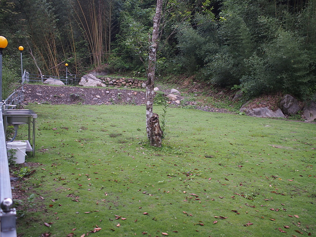 P1014451.JPG - 1040906第八露 拉拉山樂野(山蘇的故鄉)