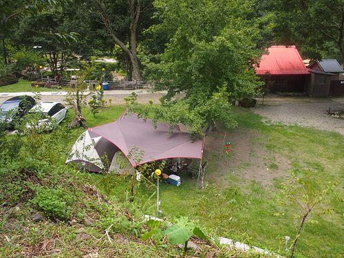 P1014507.JPG - 1040906第八露 拉拉山樂野(山蘇的故鄉)