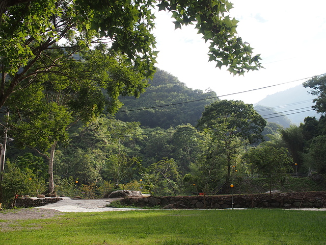 P1014483.JPG - 1040906第八露 拉拉山樂野(山蘇的故鄉)