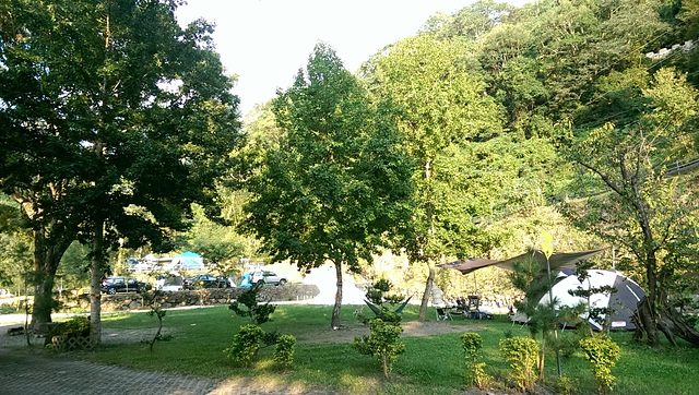 imag9221_20535581014_o.jpg - 1040906第八露 拉拉山樂野(山蘇的故鄉)