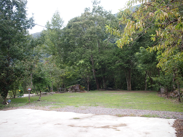 P1014464.JPG - 1040906第八露 拉拉山樂野(山蘇的故鄉)