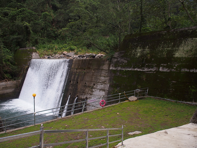 P1014480.JPG - 1040906第八露 拉拉山樂野(山蘇的故鄉)