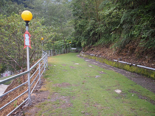 P1014477.JPG - 1040906第八露 拉拉山樂野(山蘇的故鄉)