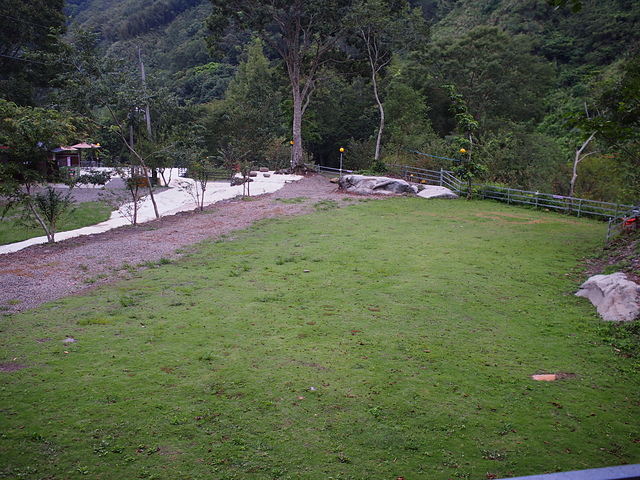 P1014455.JPG - 1040906第八露 拉拉山樂野(山蘇的故鄉)