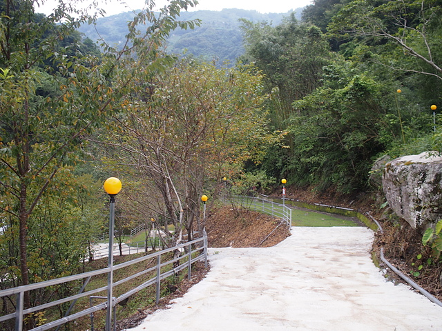 P1014476.JPG - 1040906第八露 拉拉山樂野(山蘇的故鄉)