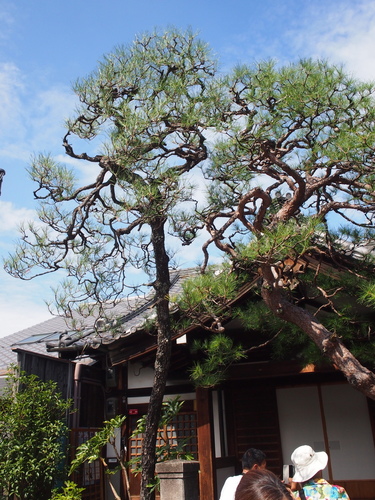 P1015439.JPG - 1040911日本大阪之旅