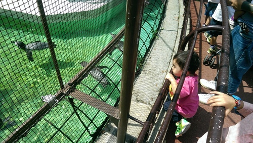 imag9620_21195624659_o.jpg - 1040911日本大阪之旅