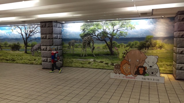 imag1228_20747535943_o.jpg - 1040911日本大阪之旅