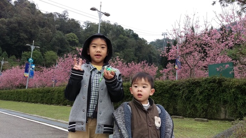 imag4383_25217049604_o.jpg - 環島第二天日月潭車埕