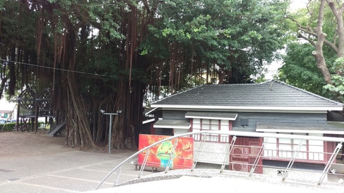 imag5151_25827687622_o.jpg - 第六天台東花蓮行