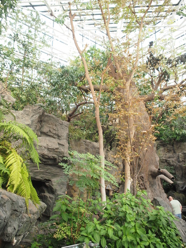 p1016410_21030407793_o.jpg - 1040911日本大阪之旅