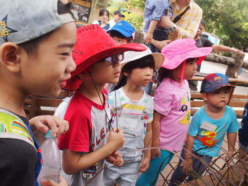 P5219561.JPG - 1060521動物園農夫職人成長之路