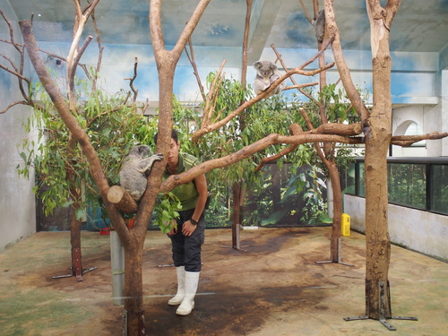 P5219525.JPG - 1060521動物園農夫職人成長之路