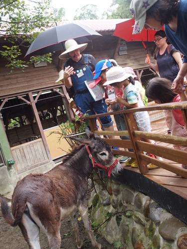 P5219615.JPG - 1060521動物園農夫職人成長之路
