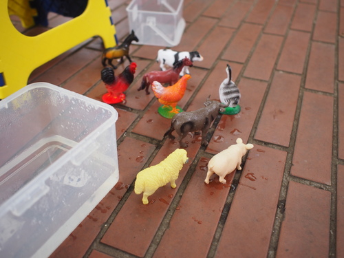 P5219670.JPG - 1060521動物園農夫職人成長之路
