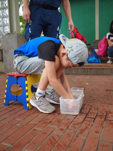 P5219676.JPG - 1060521動物園農夫職人成長之路
