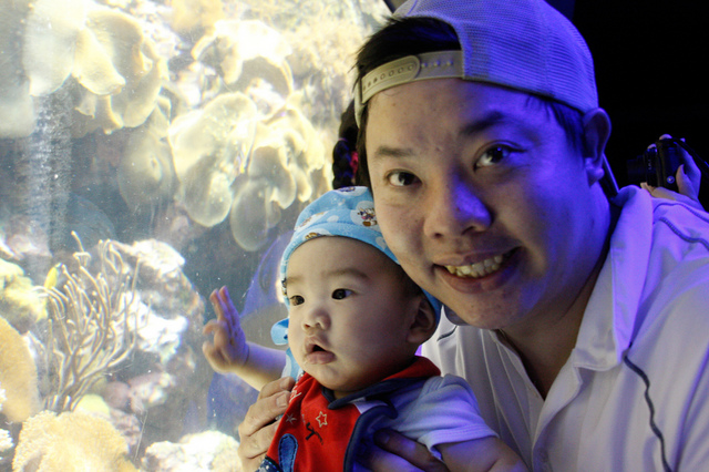 _MG_1526.jpg - 990308墾丁DAY2